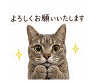 856721163