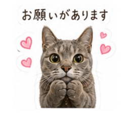 856721165
