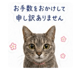 856721166