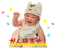 856722375