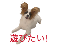 856722994