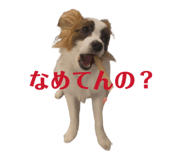 856722996