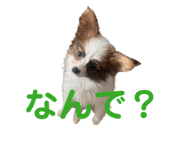 856722997