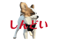 856722998
