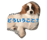 856723000