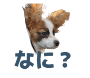 856723002