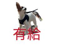 856723005