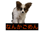 856723007