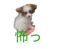 856723008