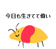 856723276