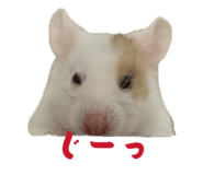 856723291