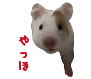 856723292