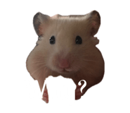 856723299