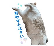 856723680