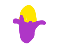 856724005