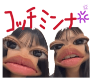 856724629
