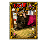 856724653