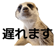 856724759