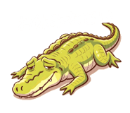 856725445