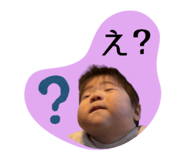 856725646