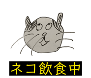 856725957