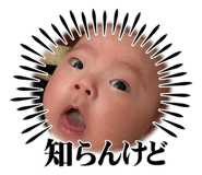 856726620