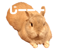 856726929
