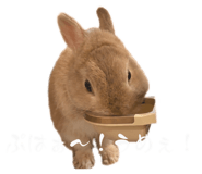 856726930