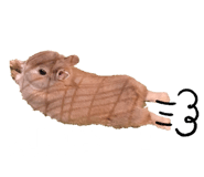 856726933