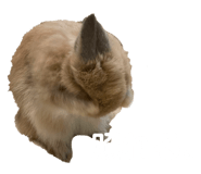 856726935
