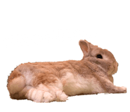 856726937