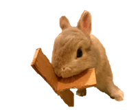 856726938