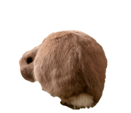 856726939