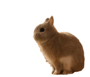 856726940