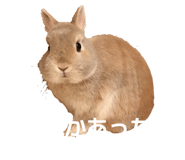 856726941