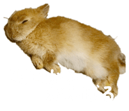 856726944