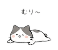 856727899