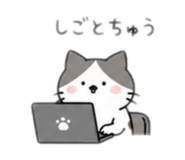 856727908