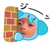 856728832