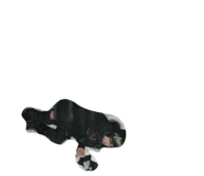 856728992
