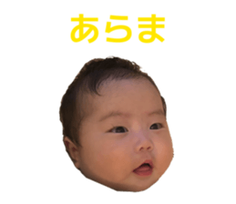 856729016