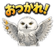 856729049