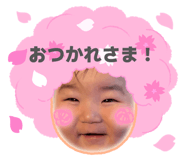 856729115