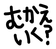 856729911