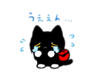 856730456