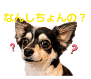 856731580