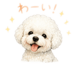 856732828
