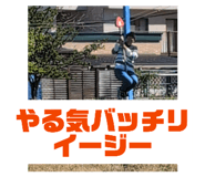 856733830