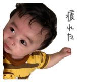 856733978