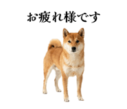 856734274
